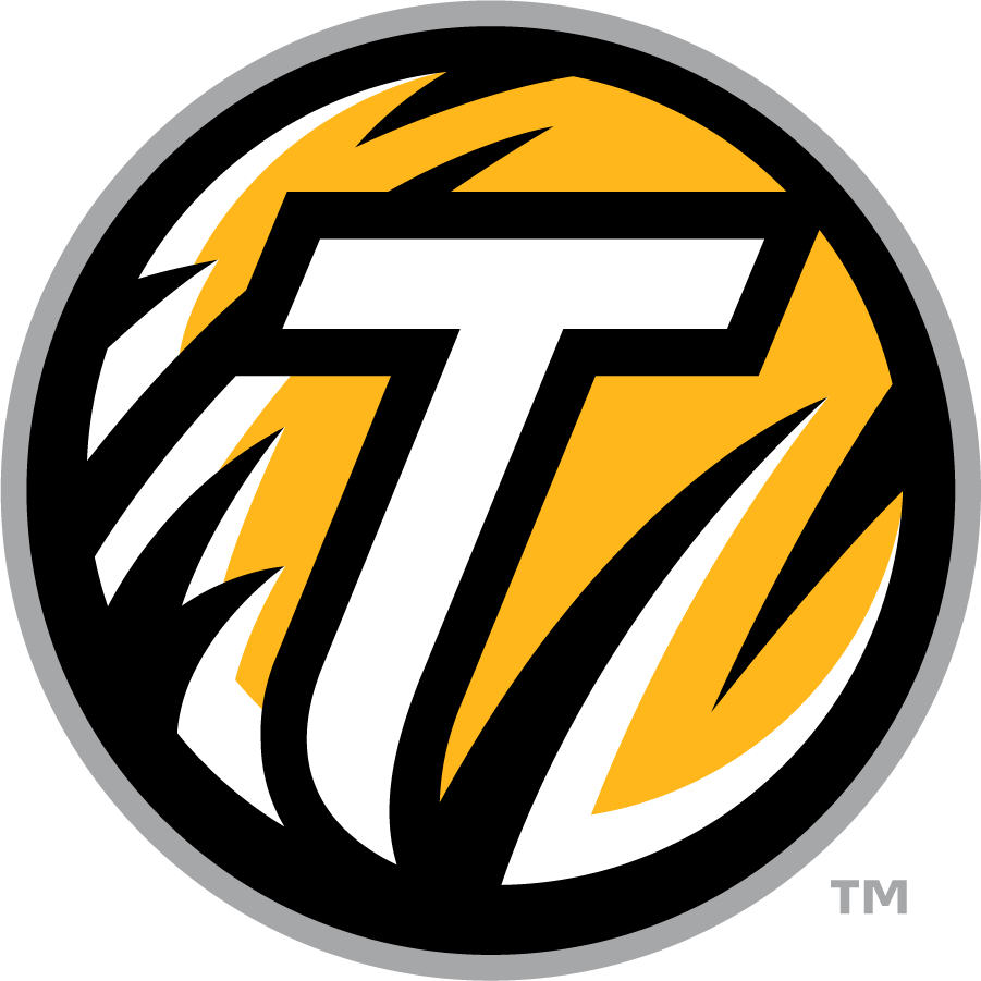 Towson Tigers 2011-2020 Secondary Logo t shirts iron on transfers